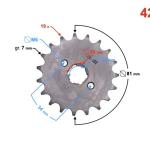 Első lánckerék 428, 19T Barton TZ125 - Moretti