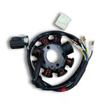 Gyújtás alaplap állórész Dirt Bike / Pit Bike 8 tekecses -169FMM, ZS160FMM, ZS174MN - Highper (DB609)