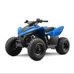 CFMoto CForce 110 Fun Gyerek Quad (Új)